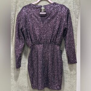 Express Sparkling Purple Long Sleeve Dress